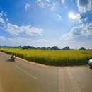 昆明旅游 缩略图 4