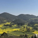 昆明旅游 缩略图 1