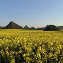 昆明旅游 缩略图 5