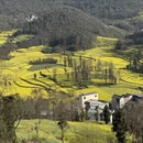 昆明旅游 缩略图 7