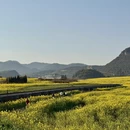 昆明旅游 缩略图 4