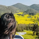 昆明旅游 缩略图 5