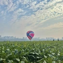 重庆旅游 缩略图 12