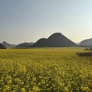 昆明旅游 缩略图 8