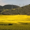 普洱旅游 缩略图 2