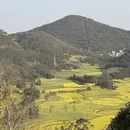 昆明旅游 缩略图 13