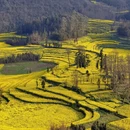 普洱旅游 缩略图 1