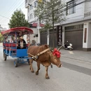 昆明旅游 缩略图 9