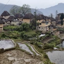普洱旅游 缩略图 15