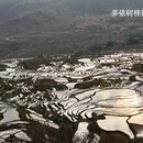 普洱旅游 缩略图 14
