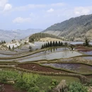 普洱旅游 缩略图 12