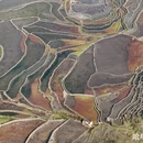 普洱旅游 缩略图 13