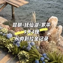 昆明旅游 缩略图 1