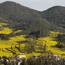 昆明旅游 缩略图 7