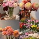 昆明旅游 缩略图 12