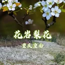 重庆旅游 缩略图 1