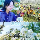 重庆旅游 缩略图 3