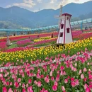 重庆旅游 缩略图 6