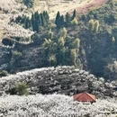 重庆旅游 缩略图 10