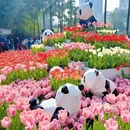 重庆旅游 缩略图 7
