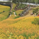 重庆旅游 缩略图 5