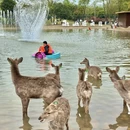重庆旅游 缩略图 2