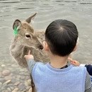 重庆旅游 缩略图 5