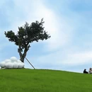 重庆旅游 缩略图 5
