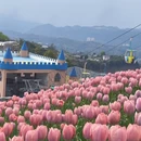 重庆旅游 缩略图 6