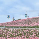 重庆旅游 缩略图 1