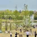 重庆旅游 缩略图 4