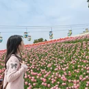 重庆旅游 缩略图 4