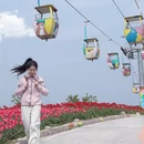 重庆旅游 缩略图 7