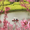 重庆旅游 缩略图 5