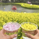 重庆旅游 缩略图 3