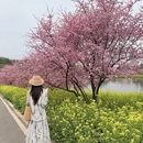 重庆旅游 缩略图 6