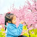 重庆旅游 缩略图 4