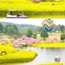 重庆旅游 缩略图 1