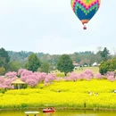 重庆旅游 缩略图 2
