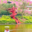 重庆旅游 缩略图 7