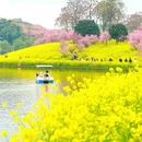 重庆旅游 缩略图 5