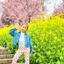 重庆旅游 缩略图 6