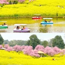 重庆旅游 缩略图 16