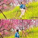 重庆旅游 缩略图 11