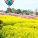 重庆旅游 缩略图 15