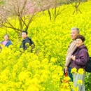 重庆旅游 缩略图 18