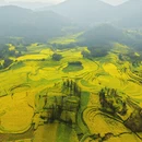 昆明旅游 缩略图 3