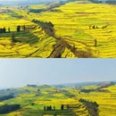 昆明旅游 缩略图 6