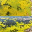 昆明旅游 缩略图 5