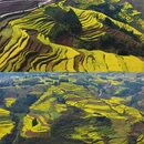 昆明旅游 缩略图 7